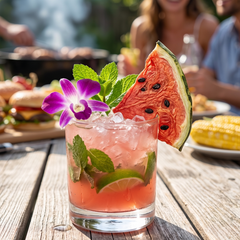 Dried Watermelon Cocktail Garnish Slices – 1 lb Bulk Bag