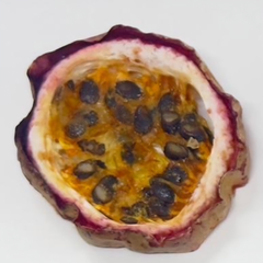 Dried Passion Fruit Cocktail Garnish Slices – 1 lb Bulk Bag