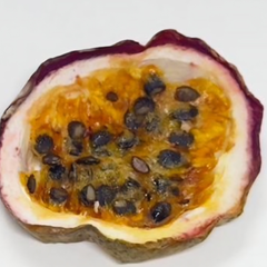 Dried Passion Fruit Cocktail Garnish Slices (45+ Pieces) 3 pack