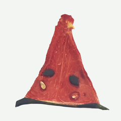 Dried Watermelon Cocktail Garnish Slices – 1 lb Bulk Bag