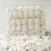 White Orchid Cocktail Garnish – 50 Fresh Dendrobium Blooms for Tiki Bars, Events & Tropical Drinks