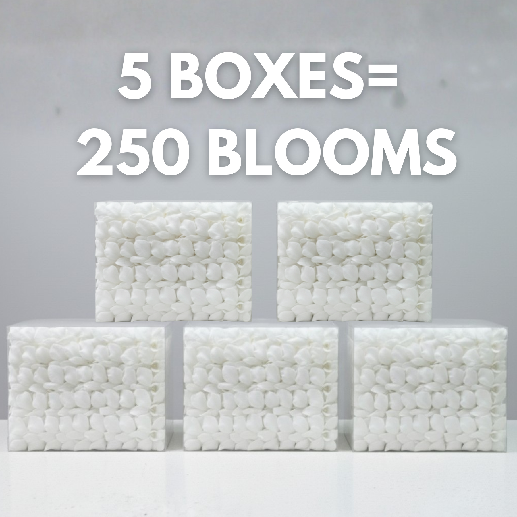 Five boxes of white pebble stones with text indicating quantity on a gray background