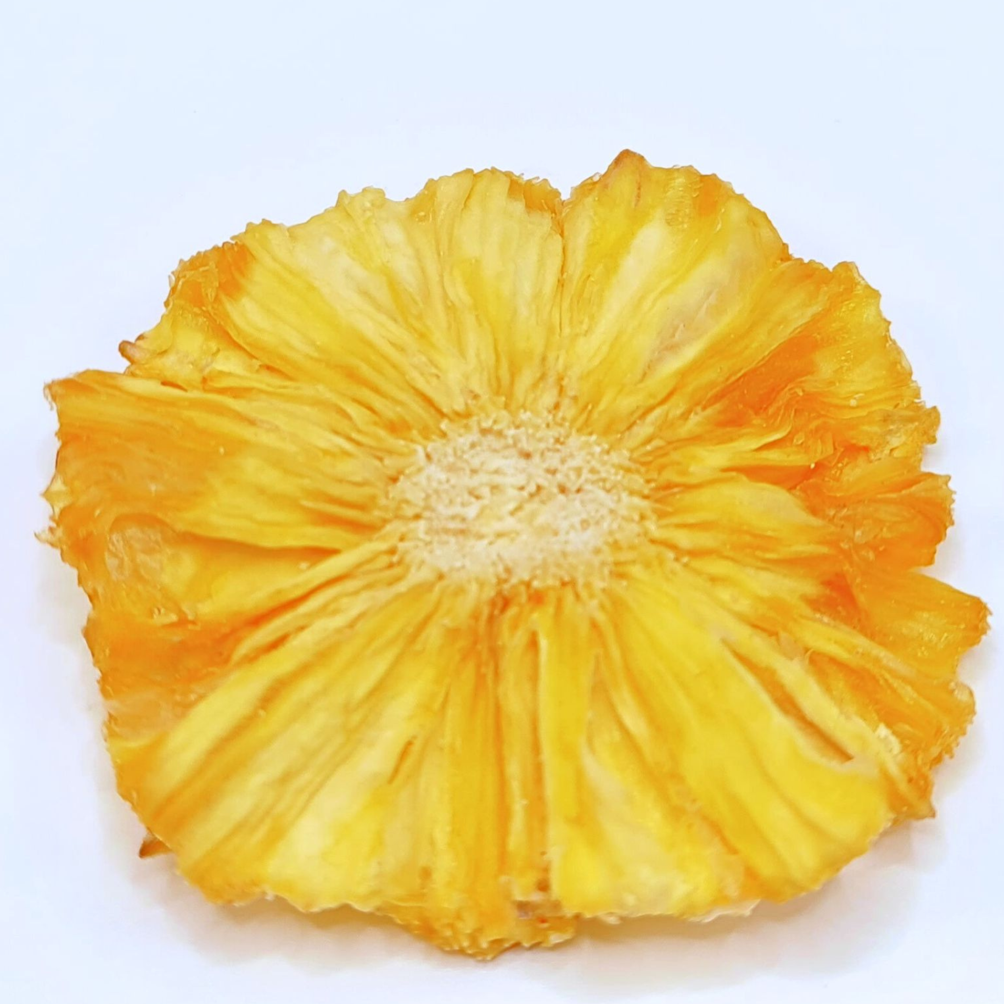 All-natural dried pineapple garnish for bartenders, bakers, and food stylists