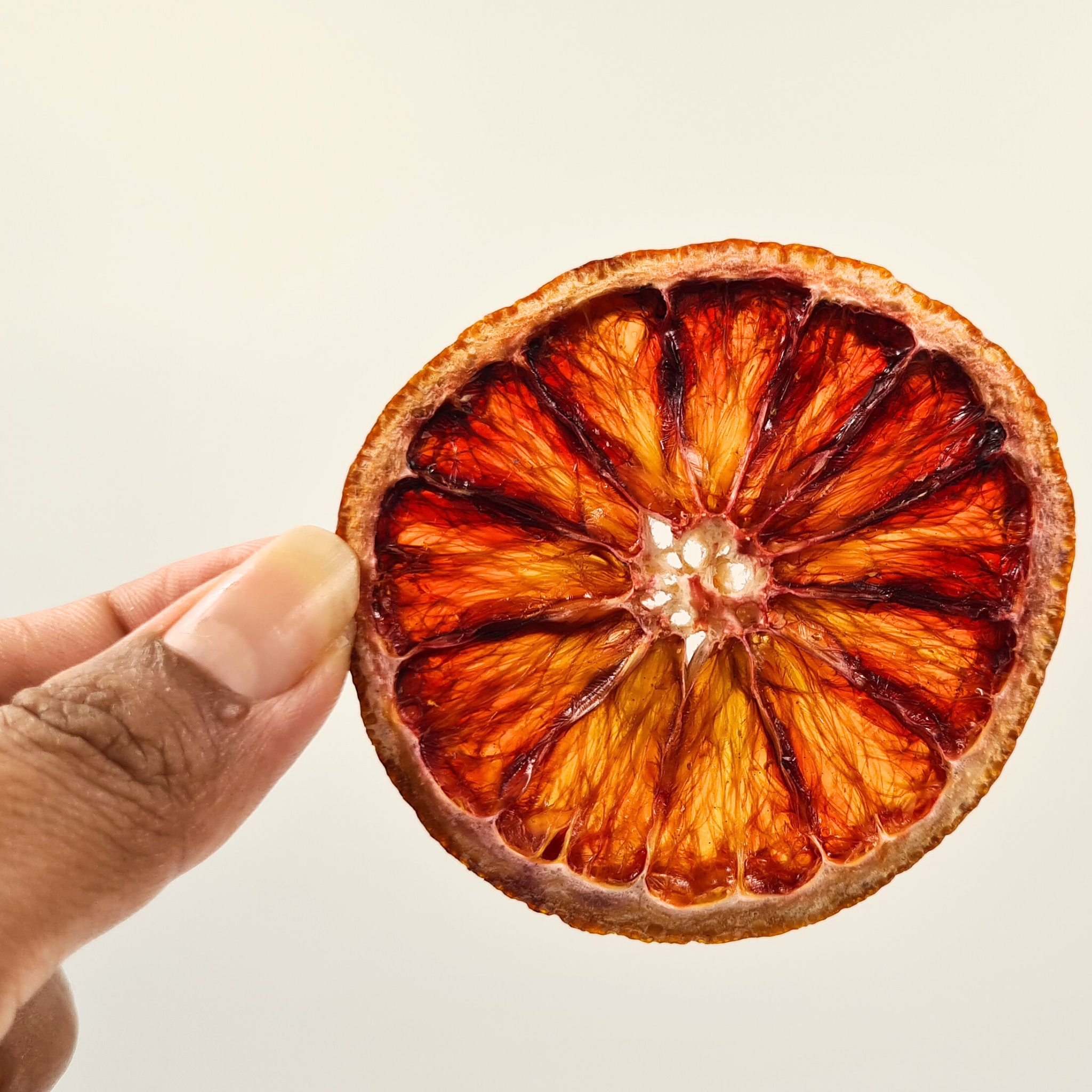 Deep red dried citrus slices for luxury plating, grazing boards, and culinary styling