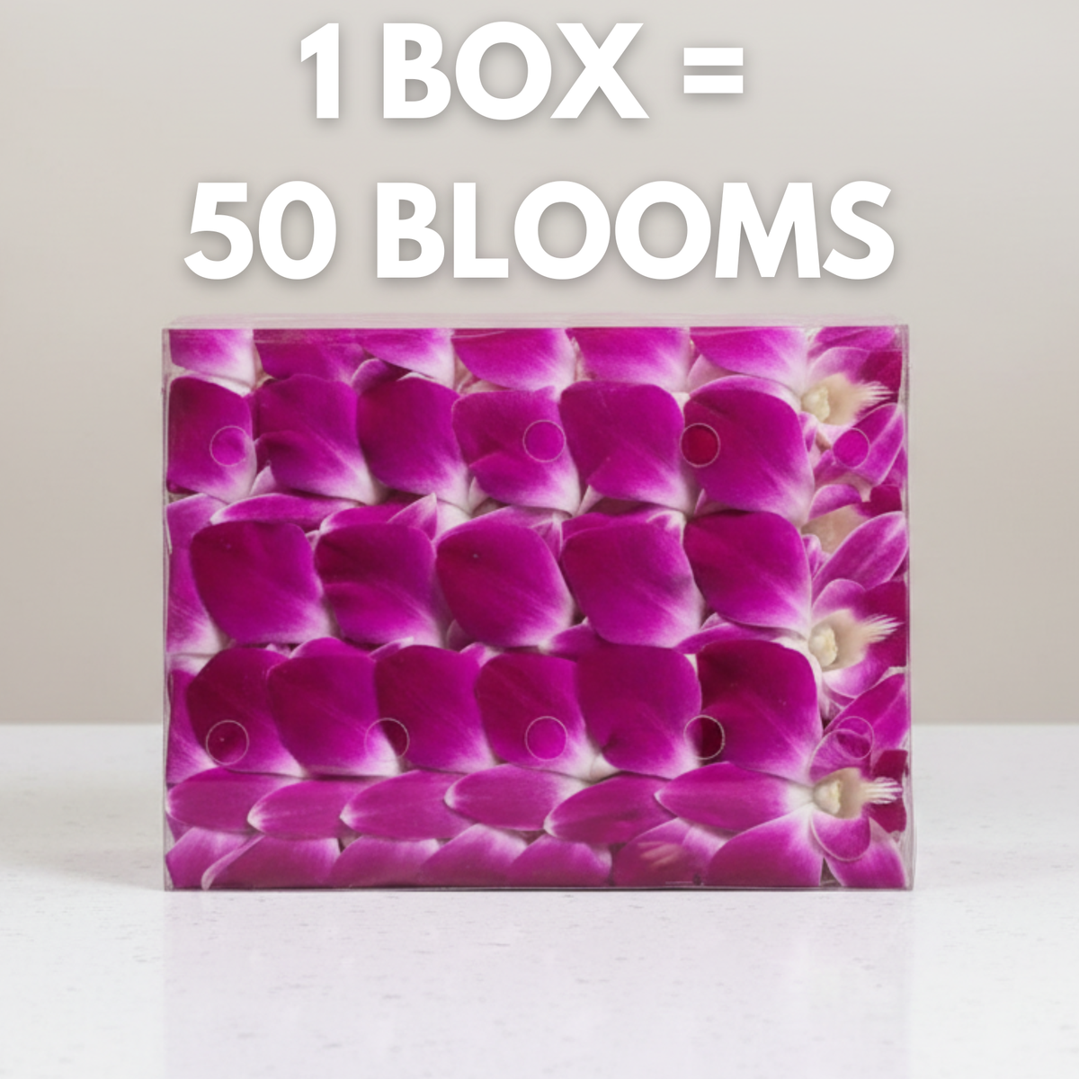 Purple Orchid Cocktail Garnish – 50 Fresh Dendrobium Blooms for Drinks, Décor & Events