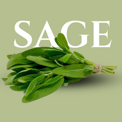 Fresh Organic Sage (4oz) – Aromatic Herb for Cocktails, Cooking & Garnish