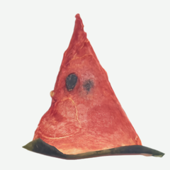 Dried Watermelon Cocktail Garnish Slices (45+ Pieces)