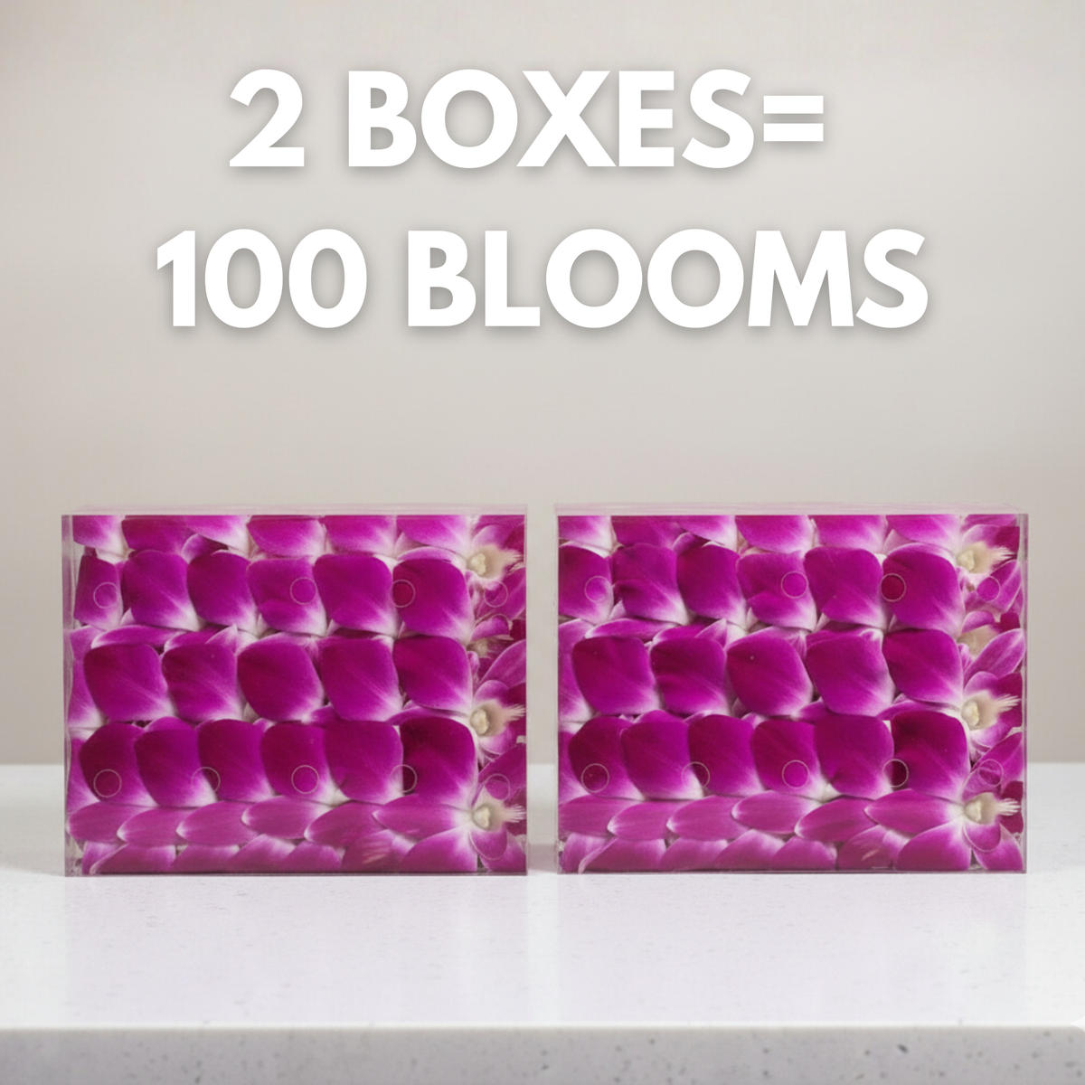 Purple Orchid Cocktail Garnish – 50 Fresh Dendrobium Blooms for Drinks, Décor & Events
