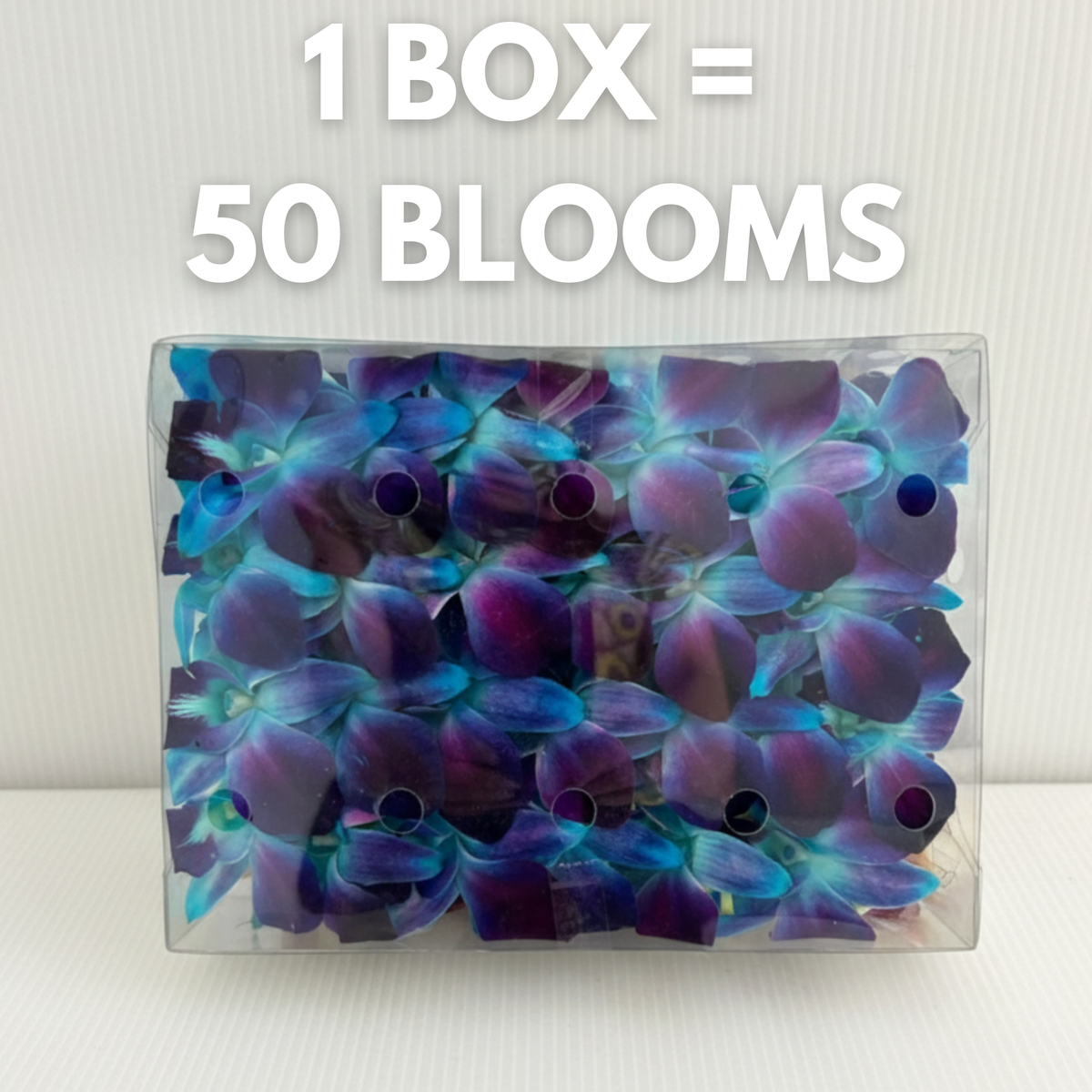 Blue Orchid Cocktail Garnish – 50 Fresh Dendrobium Blooms for Tropical Drinks, Décor & Events