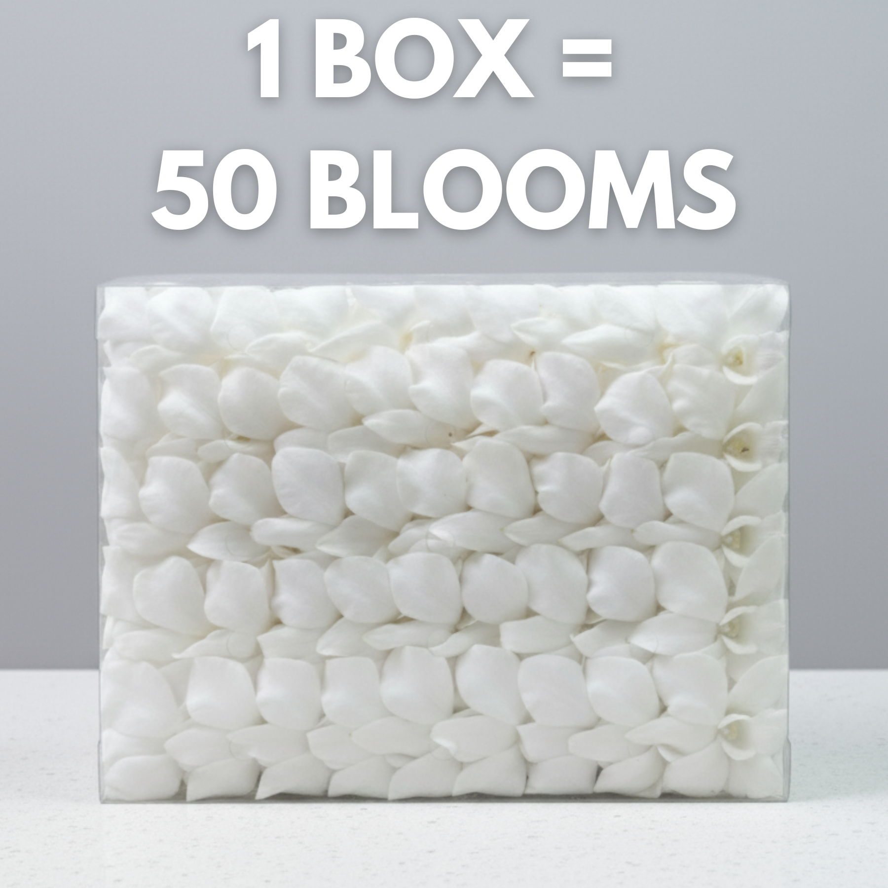Box of white flower buds with text indicating 50 blooms per box on a gray background