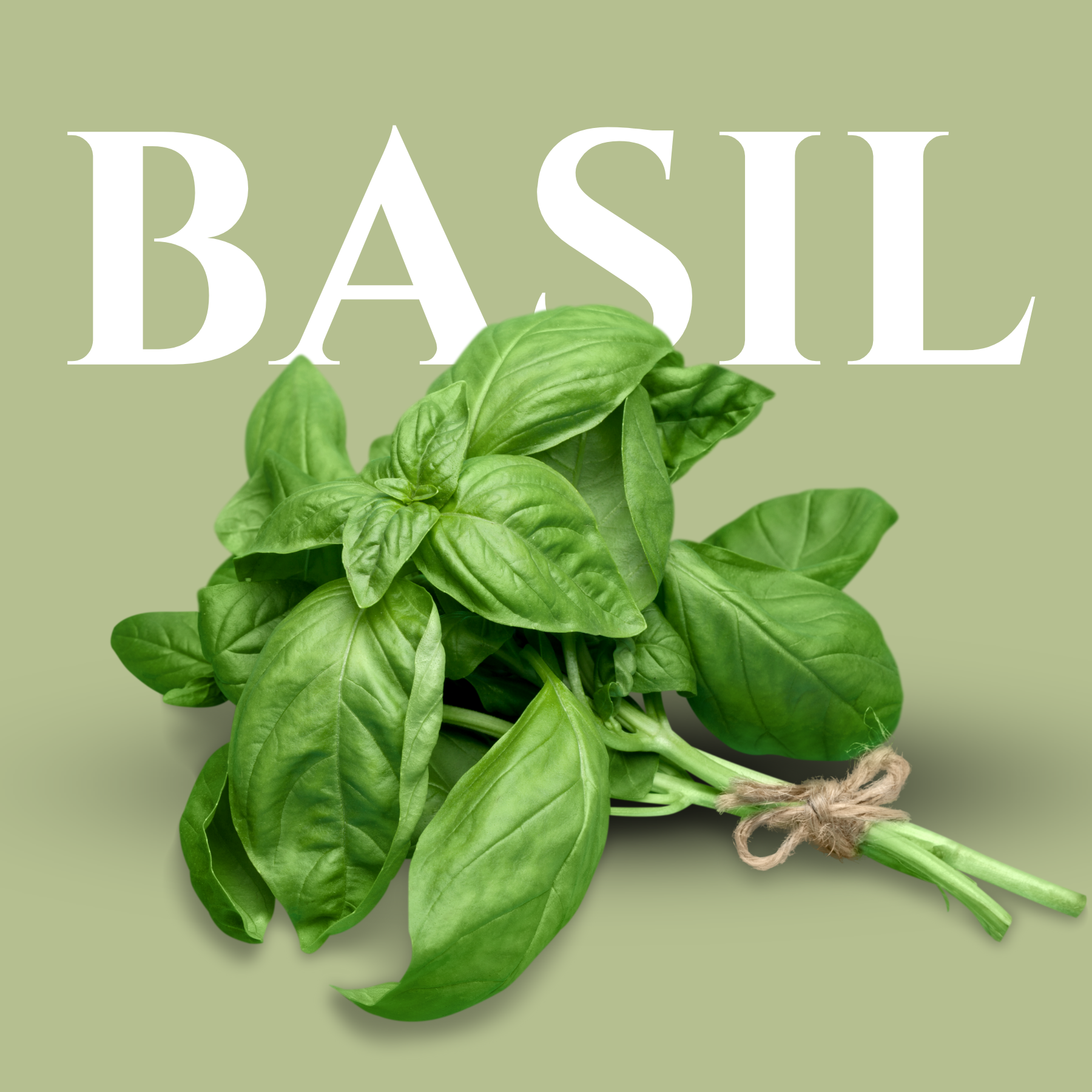 Basil Eatable Home Fresh Basil (4 oz) – Edible Cocktail & Culinary Garnish Herb