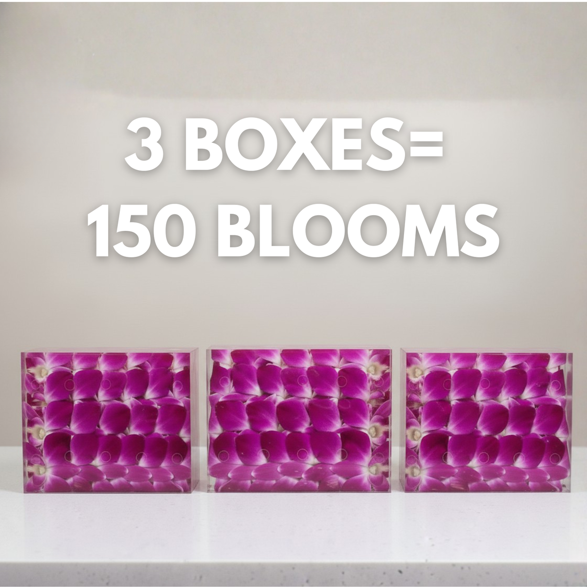 Purple Orchid Cocktail Garnish – 50 Fresh Dendrobium Blooms for Drinks, Décor & Events