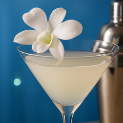 White Orchids