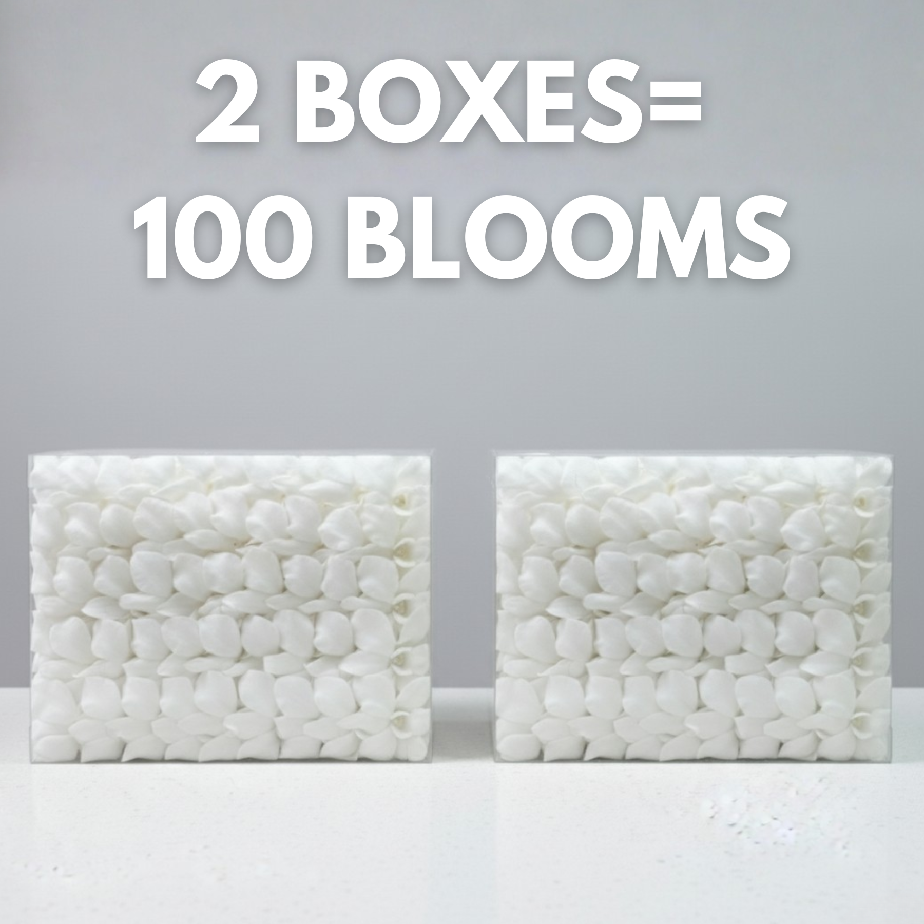Two boxes of white pebble-like products with text indicating 100 blooms per two boxes on a gray background.