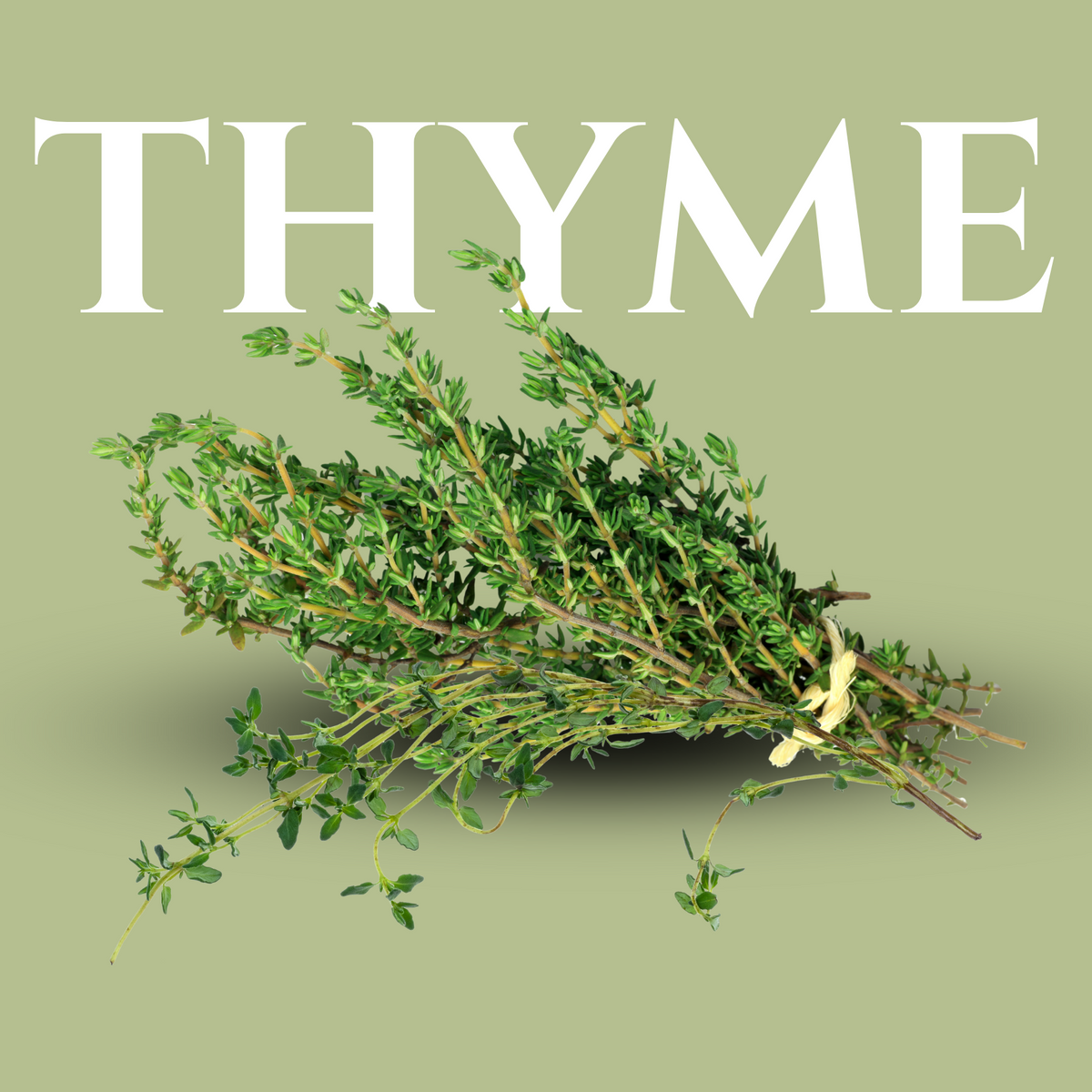 4 oz Fresh Thyme – Bar & Kitchen Herb for Flavor and Garnish