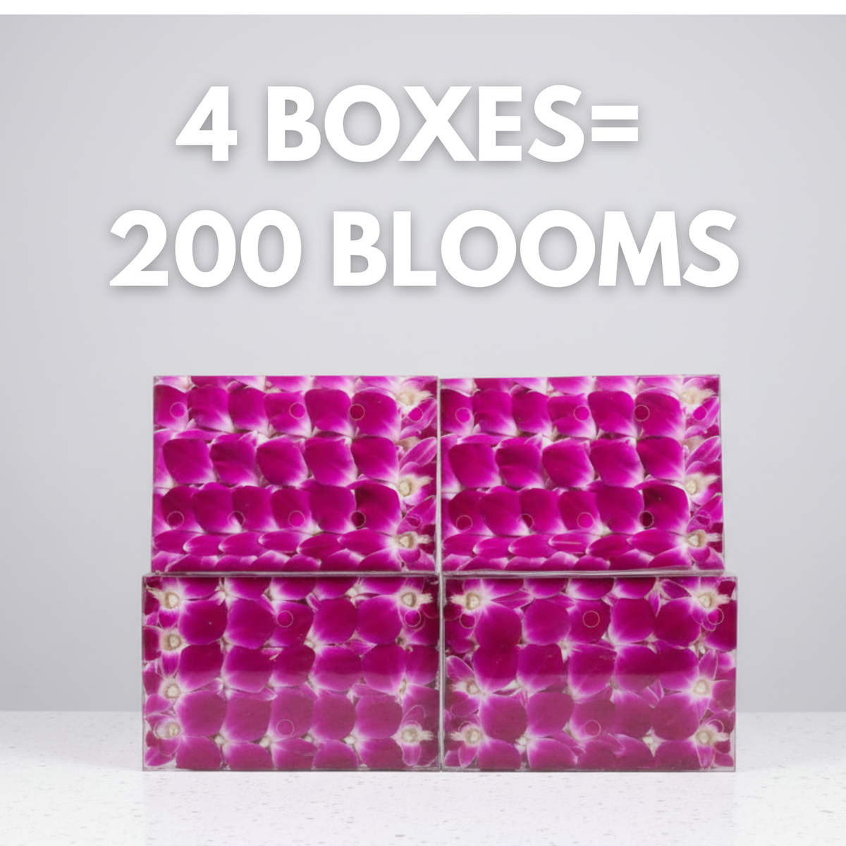 Purple Orchid Cocktail Garnish – 50 Fresh Dendrobium Blooms for Drinks, Décor & Events