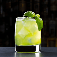 Vibrant green basil freshly picked for Caprese salads and herbal drinks