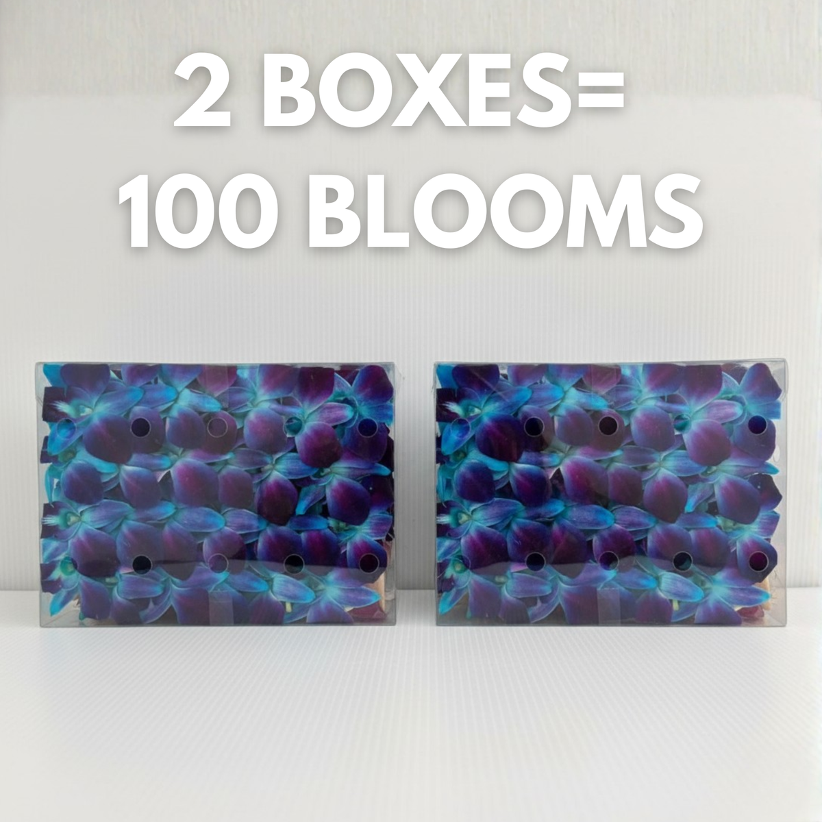 Blue Orchid Cocktail Garnish – 50 Fresh Dendrobium Blooms for Tropical Drinks, Décor & Events