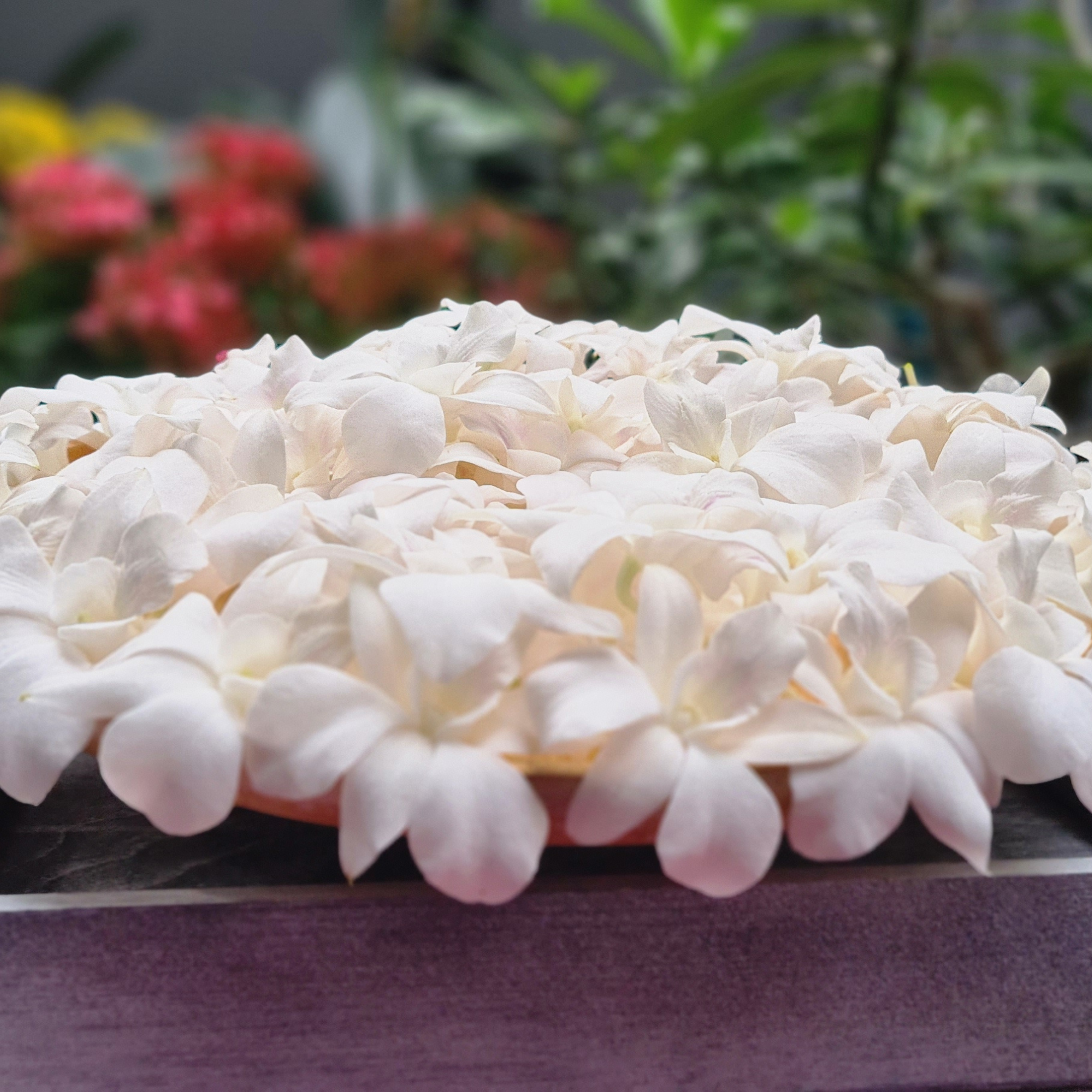 White Orchids