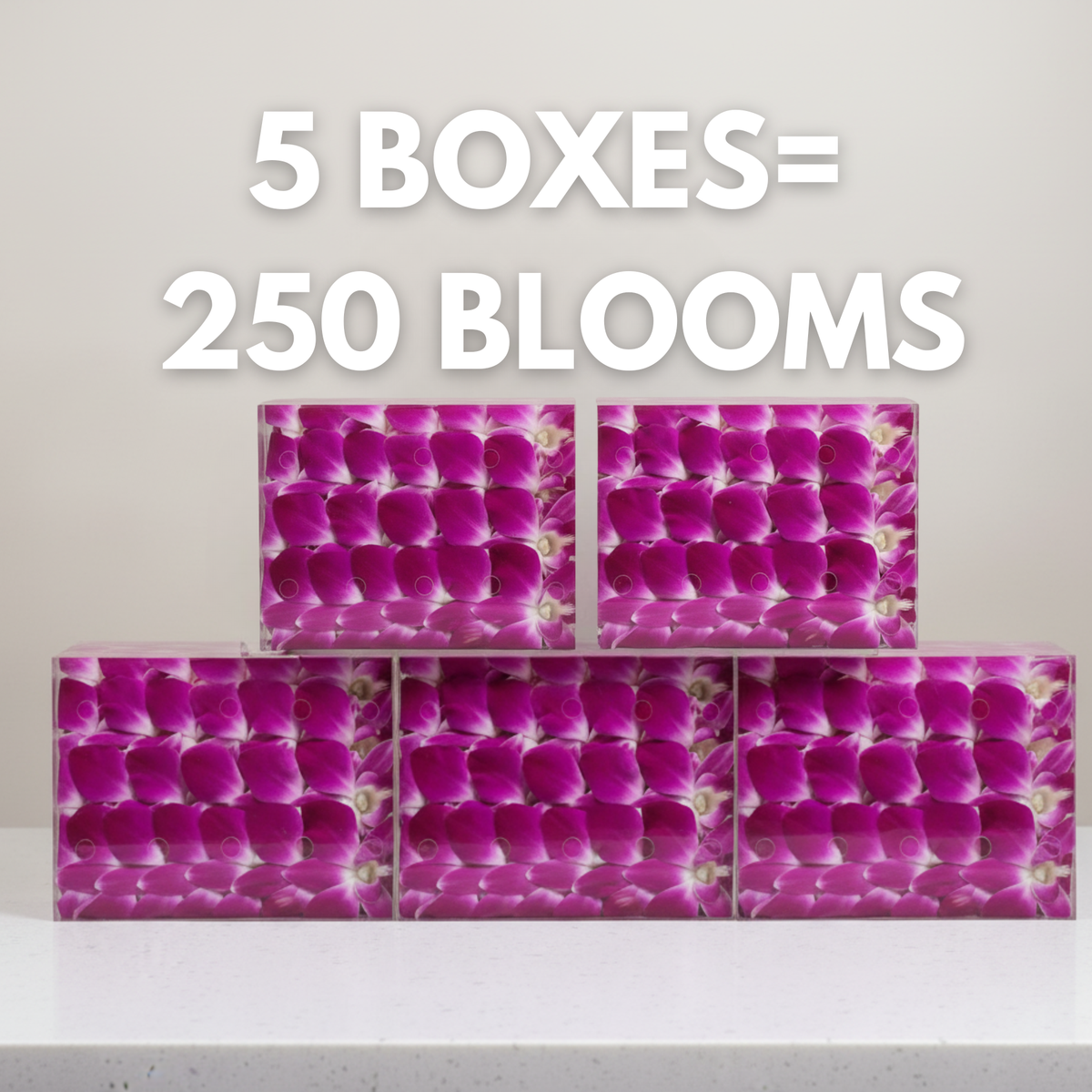 Purple Orchid Cocktail Garnish – 50 Fresh Dendrobium Blooms for Drinks, Décor & Events