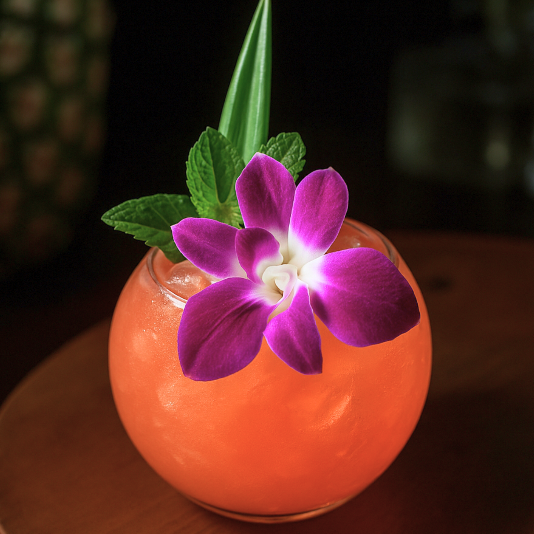 Farm-to-door purple Dendrobium orchids for fashion shoots, photography, and hotel displays