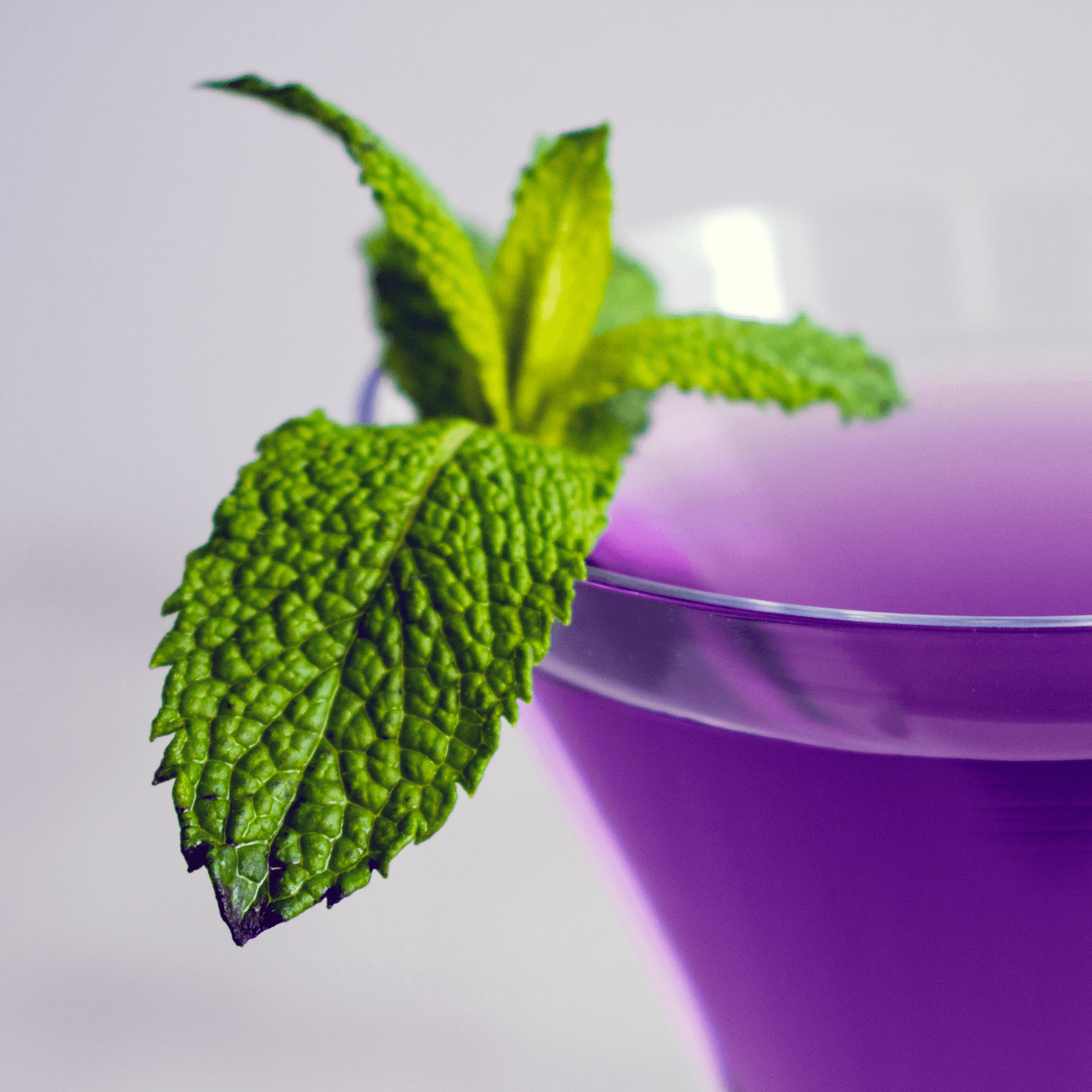  Aromatic fresh mint ideal for mixology, cooking, and garnishing