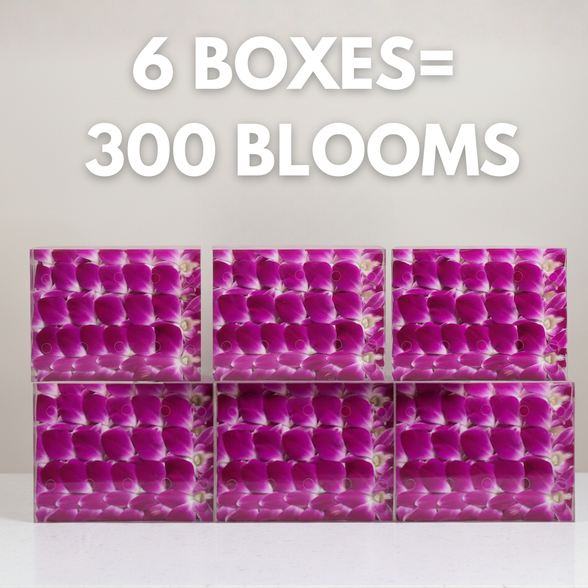 Purple Orchid Cocktail Garnish – 50 Fresh Dendrobium Blooms for Drinks, Décor & Events