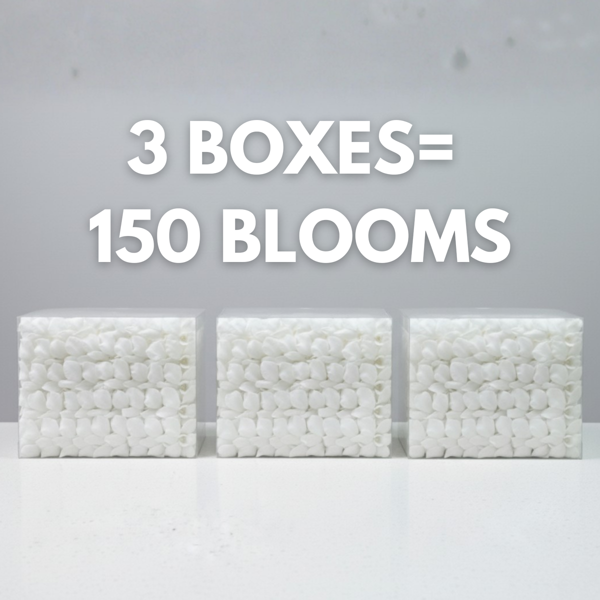 Three boxes of white pebbles with text indicating 150 blooms per three boxes on a gray background.