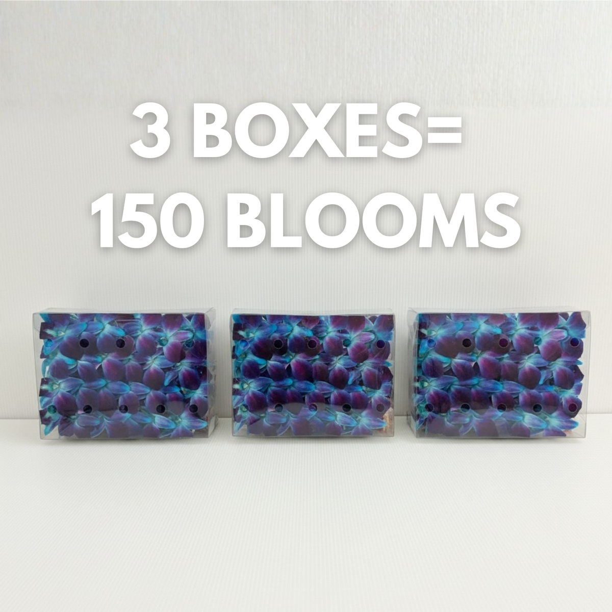 Blue Orchid Cocktail Garnish – 50 Fresh Dendrobium Blooms for Tropical Drinks, Décor & Events