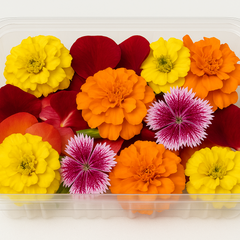 Assorted fresh blooms in vibrant colors, hand-packed and ready to garnish