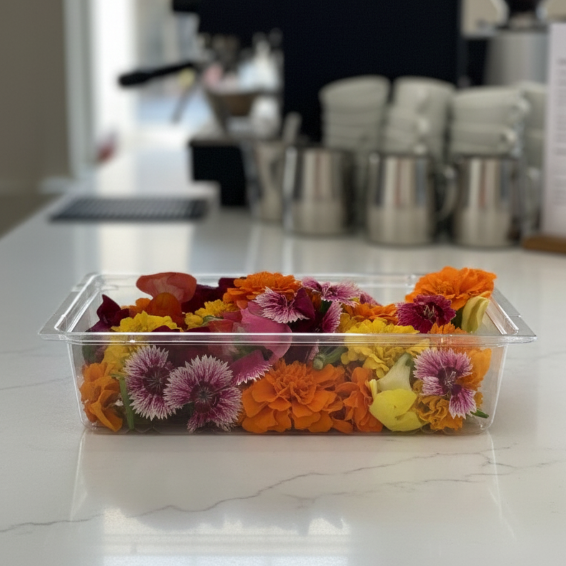 A clear plastic tray filled with fresh edible flowers in vibrant orange, yellow, pink, burgundy, and purple tones sits on a bright kitchen counter. In the background, there is a glass of iced tea with lemon slices, a loaf of bread with egg, and a basket of croissants, giving the scene a cozy brunch atmosphere. These colorful edible blooms are perfect for cake decorating, cocktail garnishes, salads, or cheese boards, adding natural beauty and gourmet style to home dining and events.