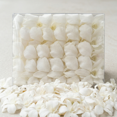 White Orchid Cocktail Garnish – 50 Fresh Dendrobium Blooms for Tiki Bars, Events & Tropical Drinks