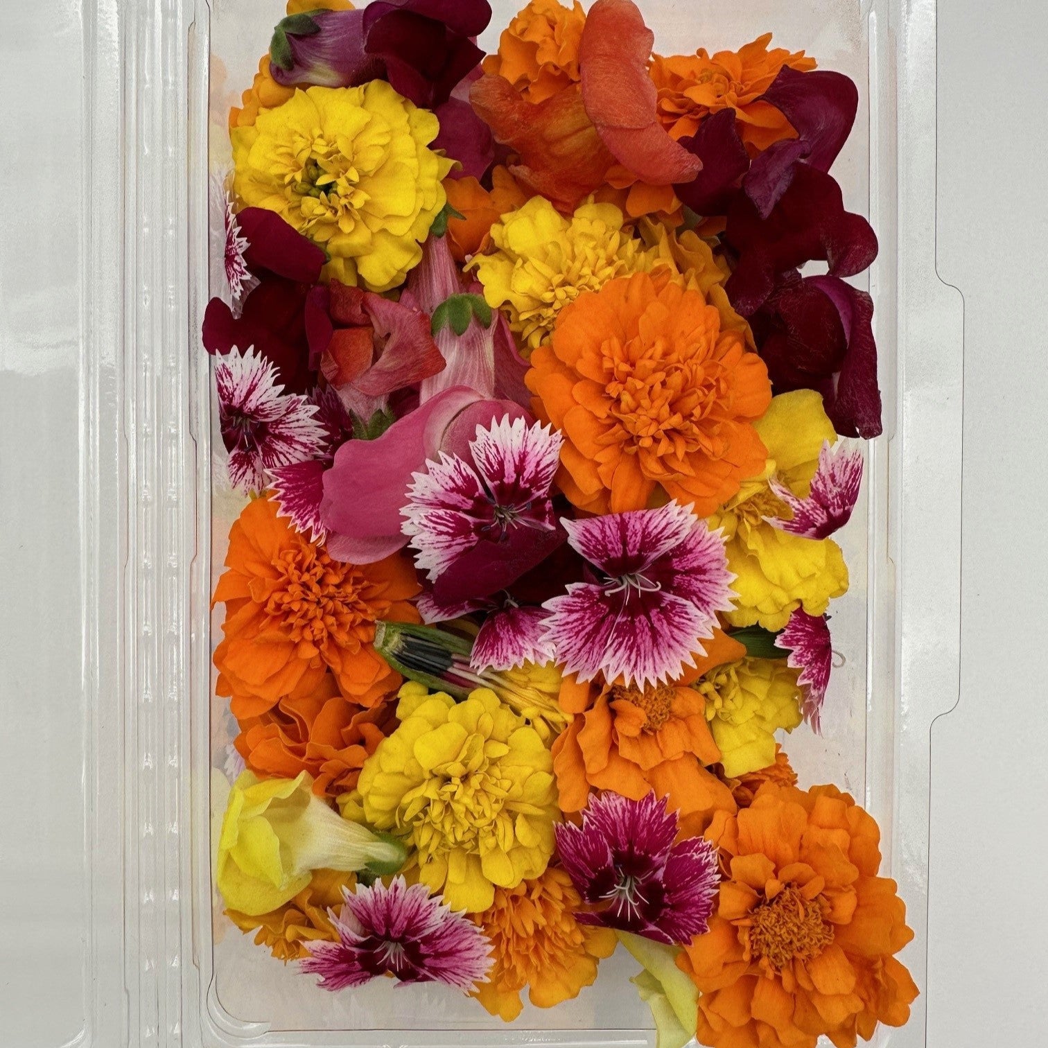 Clamshell of 30 fresh edible flowers including marigolds, dianthus, and rose petals
